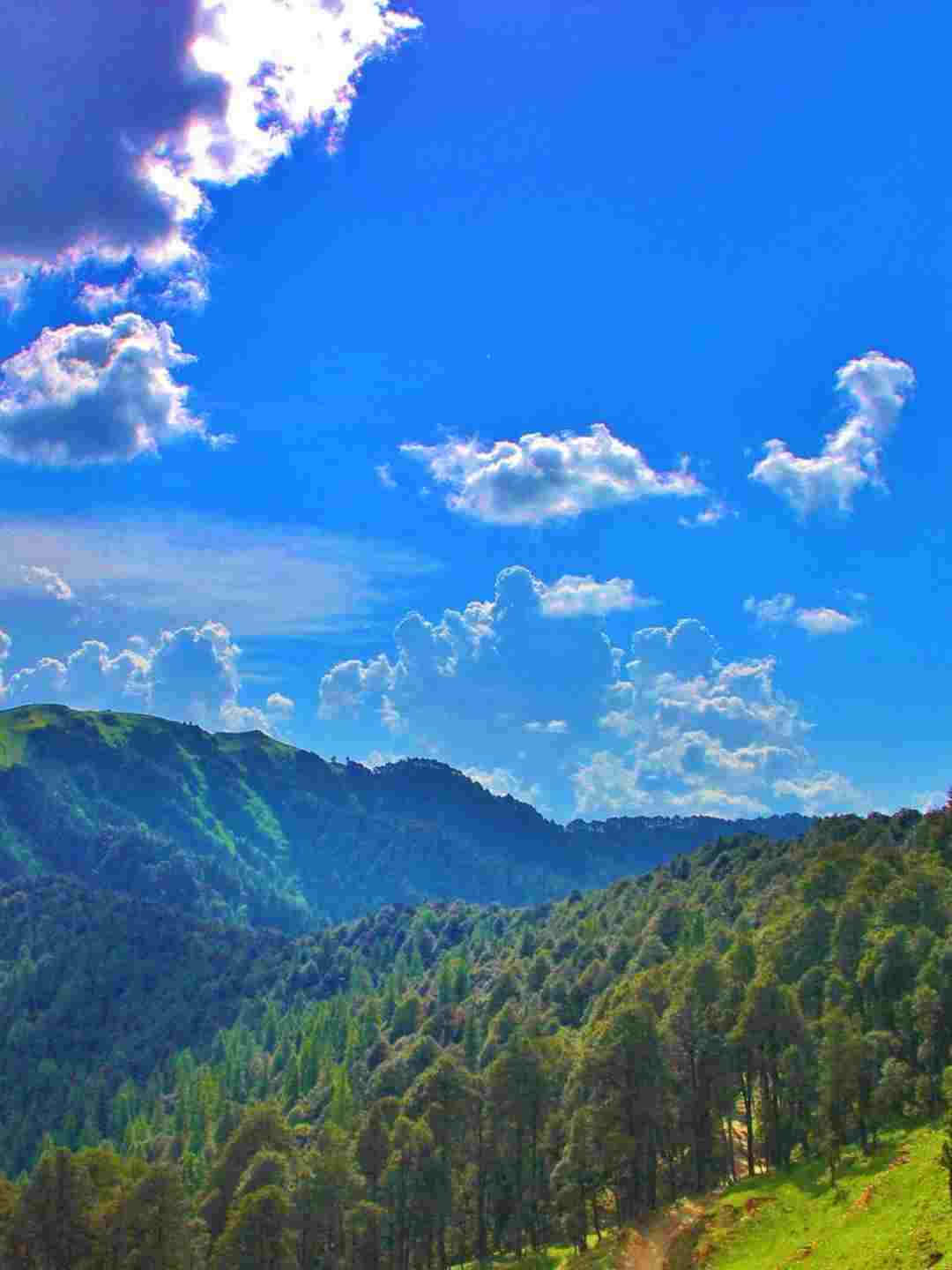 Jalori Pass